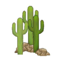 desert-stuff avatar