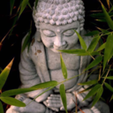 deserted--minds avatar