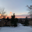 deserthotwhiskey avatar