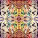 designmyworld-things avatar