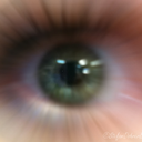 designsondesigns avatar