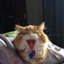 desirablemuffinofdoom avatar