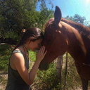 desired-constellations avatar