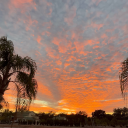 desireedreamz avatar