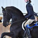 desk-flipping-into-oblivion avatar