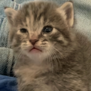 despairwhisper avatar