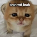 desperateneedforviagra avatar