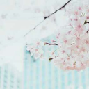 despreciablecriatura avatar