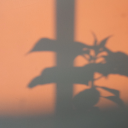 desprendimiento-subcutaneo avatar