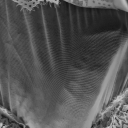 dessous-sonja avatar