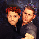 destiel-makes-me-happy avatar