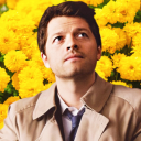 destieldisaster avatar