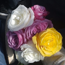 destinigreen0906 avatar