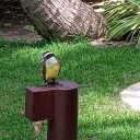 destinoferias avatar