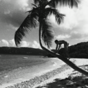 destinybythesea avatar