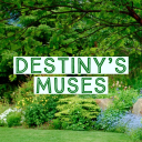 destinyxxmuses avatar