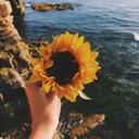 destroy-what-kills-you avatar