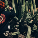 destroythefuture avatar