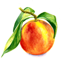 destroythepatriarchy69 avatar