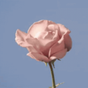 desverbos-blog1 avatar