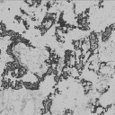 detachment-reflex avatar