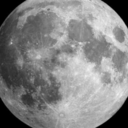 detective-orchid avatar