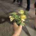 detectivecrash avatar