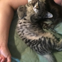 detectivemunch avatar