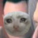 detroit-become-human-as-vines avatar