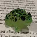 detroitcrimegirl avatar