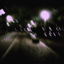 deusesdomesticados avatar