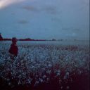 deutsche-volksseele avatar