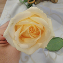 devaneiosdemim avatar