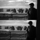 devasconcelos avatar