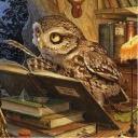 devianna-owl avatar