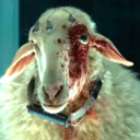 devianthybrid avatar