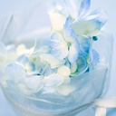 deviantlovethoughts avatar