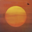 deviantshrimp avatar