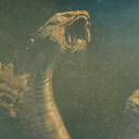 devil-with-three-heads avatar