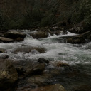 devils-princesss avatar