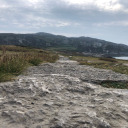 devilsadvocate69 avatar