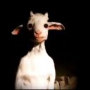 deviousgoat avatar