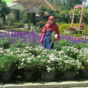 devisaufayardha avatar