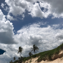 devonshamar21-blog avatar