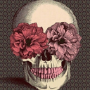 devoteddaydreamer avatar