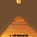 devotedlyfurryfury avatar