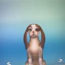 devotedlykeencycle avatar