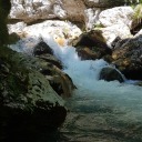 devotedtomyfandoms avatar