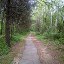 devouredreaper avatar