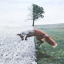 devourthewordflow avatar